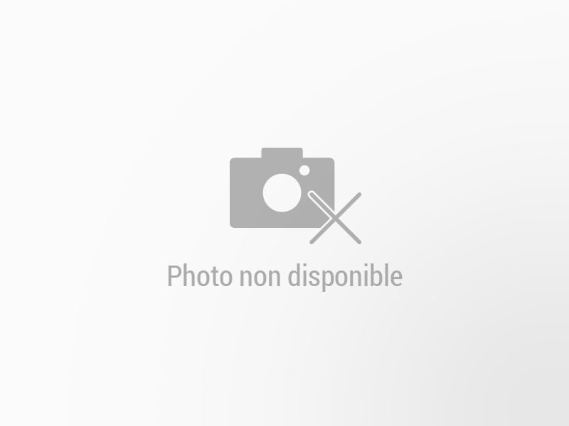 DACIA Spring d’occasion à vendre à SAMOREAU